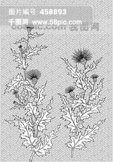线描植物花卉图片免费下载,线描植物花卉设计素材大全,线描植物花卉