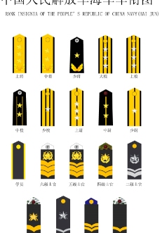 中国海军肩章图片