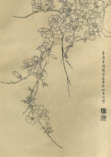 百花图谱05迎春花图片