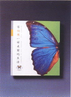 中国书籍装帧设计0014