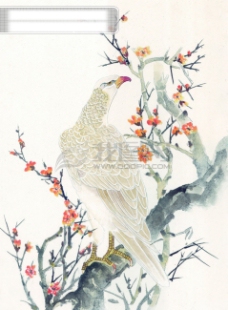古代艺术中华艺术绘画古画动物绘画孔雀天鹅鸳鸯凤凰中国古代绘画