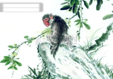 中国动物画中华艺术绘画古画动物绘画猴子中国古代绘画