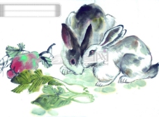 中国动物画中华艺术绘画古画动物绘画兔子中国古代绘画