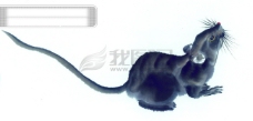 中国动物画中华艺术绘画古画动物绘画老鼠耗子中国古代绘画