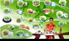 茶之文化花文化之十盖碗茶