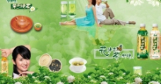 茶之文化茶文化之十一康师傅茉莉清茶2图片