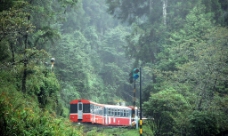 中國風台灣嘉義薄霧中的阿里山森林火車图片