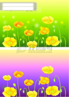 鲜花矢量鲜艳的花朵花儿图片素材2