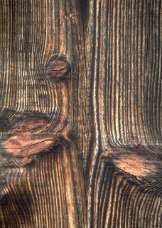 木料纹理木纹纹理材料木材图片