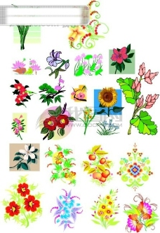 各类图案莲花等各种花类花纹矢量图案