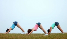 瑜伽运动户外草地运动瑜伽女子图片