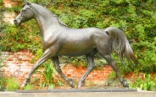 马的雕塑图片