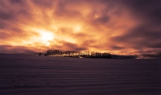 雪原的黄昏图片