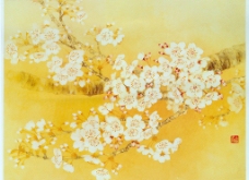 樱花(金黄色)图片