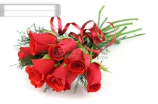 玫瑰花束高精度一束红色玫瑰花图片素材