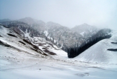 果子沟雪景图片