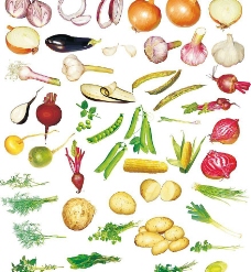 豌豆蔬菜小集合图片