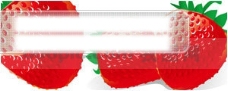 水果素材草莓素材矢量素材