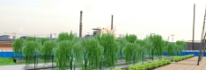化工厂院绿化设计图片