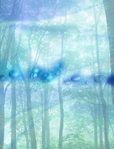 树林 水汽 气泡图片